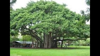 Retraite dans le noir, transformation, nuit noire de l&#39;âme 1er épisode