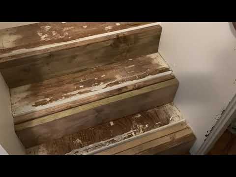 Stair tread extension