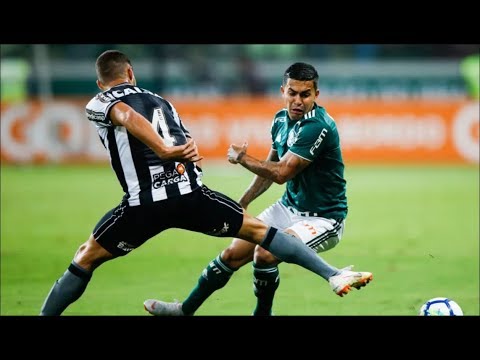 Palmeiras vence o Botafogo por 1 a 0 - Gol Gustavo Gómez (Brasileirão 2019 )