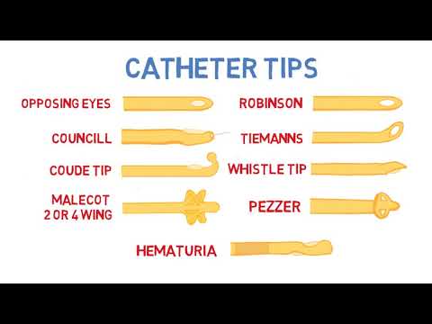 Introduction to Urinary Catheters