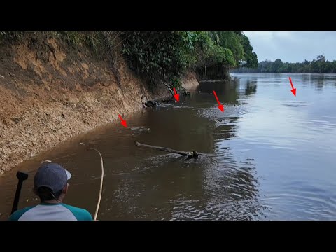 2 DAYS OF HAMPALA FISHING AFTER THE FLOOD