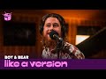 Boy Bear Cover Simple Minds Don T You Forget About Me For Like A Version Ft Annie Hamilton