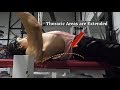 Simple Bench Press Mistake To Avoid (Arching)