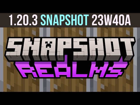 xisumavoid - Minecraft 1.20.3 Snapshot 23W40A - Shield Movement Changes!