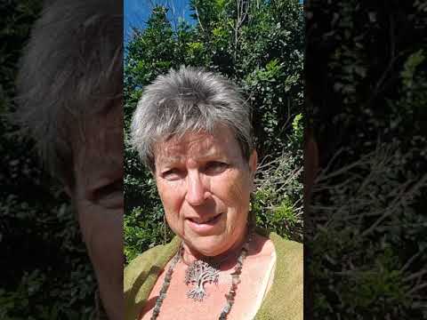 More On Wit The HerBs 🌱of RuTa  🌱 Rue