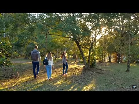 TJ UFSC 07/05/18 - Reforma Bosque // Semana Acadêmica Oceanografia