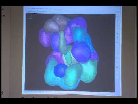 L22: Refinement of atomic models against cryo-EM maps (refmac, prosmart etc.)