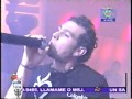 TINTO EN RCN BICHOS - MIRA NENA 