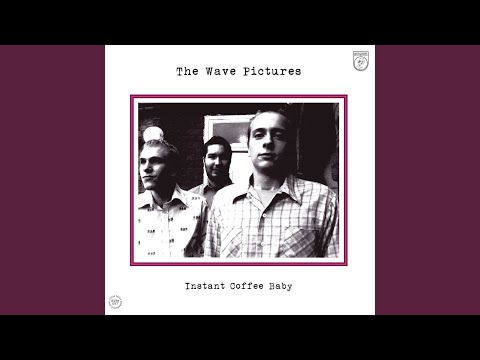 I Remembered - The Wave Pictures