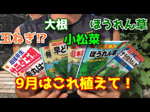  9月に植える野菜は何ですか？  庭園
