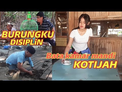 burung-disiplin-bata-buat-kotijah-pak-ndutt-mukidi-senton