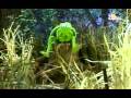 Sesamstraat Kermit Baby