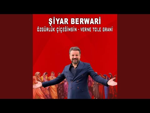 Özgürlük Çiçeğimsin / Verne Tole / Grani