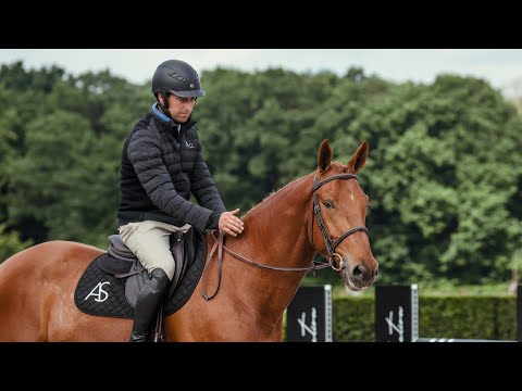 Try Me de Wiqui - Profile