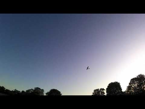 lidl-glider