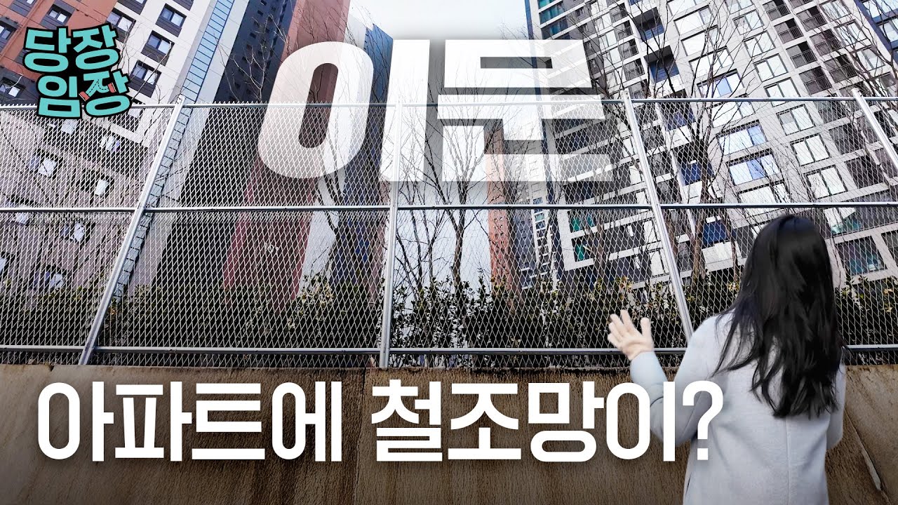 1년 만에 1만가구 입주한 뉴타운 근황 | 당장! 임장