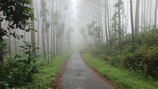 Download lagu ujan kabut➡️jln seram extreme rute Purworejo-Jogja via Kaligesing mendaki gunung lewati lembah mp3