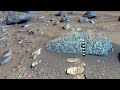 Mount Washburn Float Rocks, Johnson et al, 2026