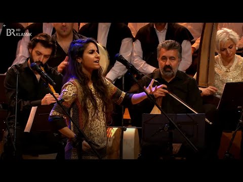 Michal Elia Kamal - Dror Ikra