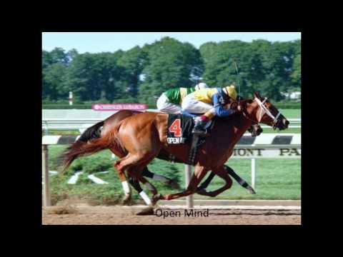 The Name Behind the Race: The Mother Goose