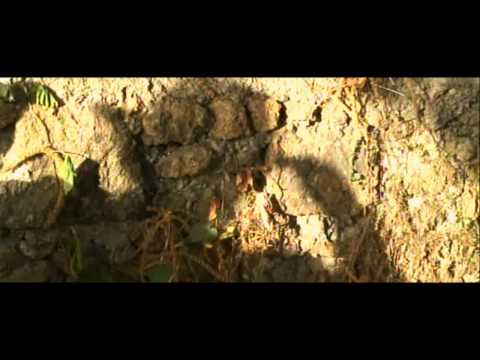Trailer HD - Lawrence Jones y la Mesa del Rey Salomón (2009)