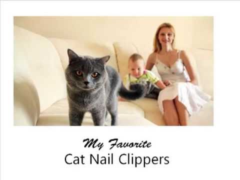 Choosing Cat Nail Clippers