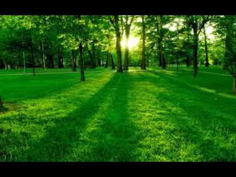 SCSI-9 feat. Yudenich Yulya - Spring in Canada