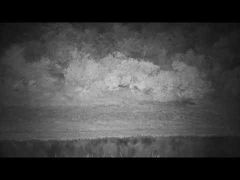 Djuma: Genet - 04:23 - 03/21/2022