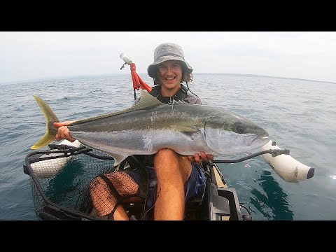 Catching GIANT Kingfish From A Kayak!?!