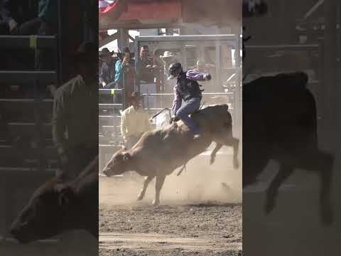 Full Bull Epic 8 Seconds