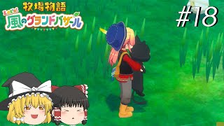 【風のグランドバザール】バザールdeかせーぐ#18【ゆっくり実況プレイ】