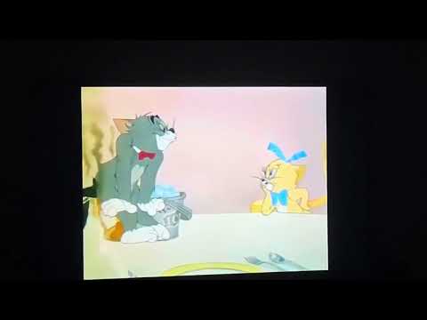 Tom and Jerry hey what’s cooking?