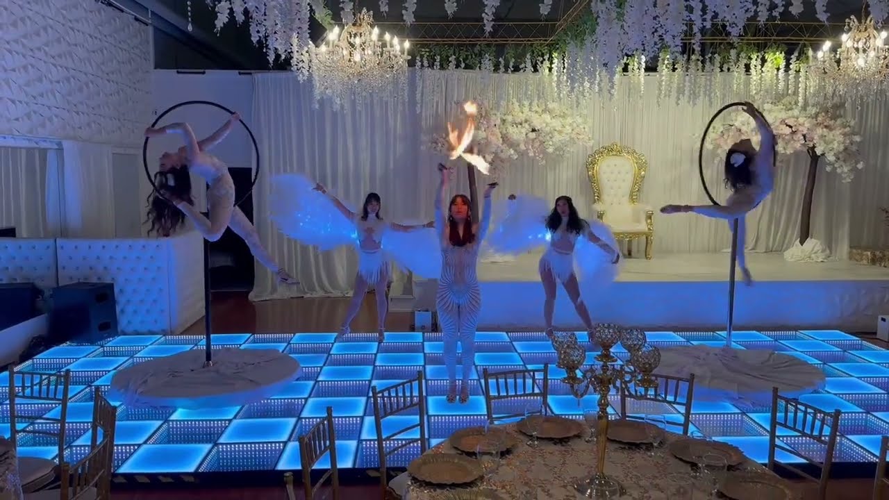Promotional video thumbnail 1 for CaroLyra Aerial Arts