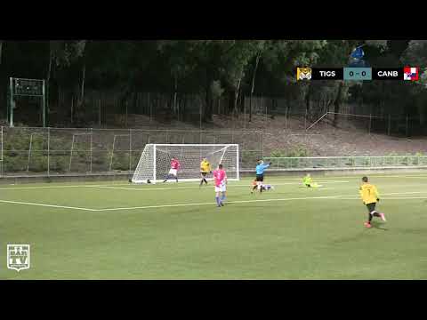 RD 15 NPL1 Tigers FC v Canberra Croatia FC