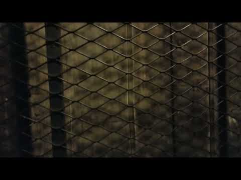 EPIC MANUAL 1920 Otis Traction Freight Elevator @ Gibraltar Tower, Seattle WA