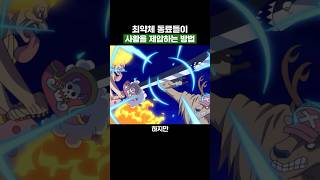 원피스) 최약체 동료들이 사황을 제압하는 유일한 방법
