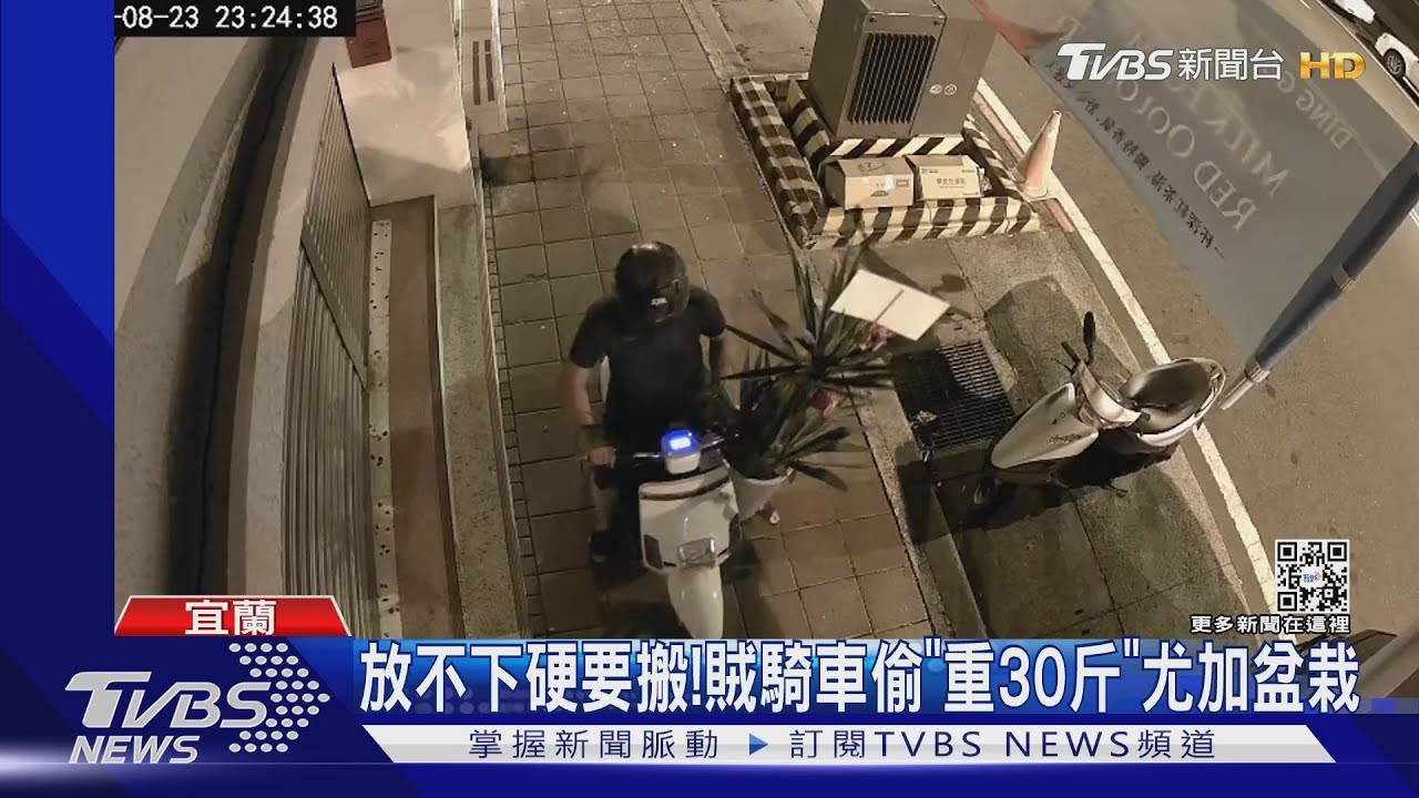放不下硬要搬!賊騎車偷「重30斤」尤加盆栽