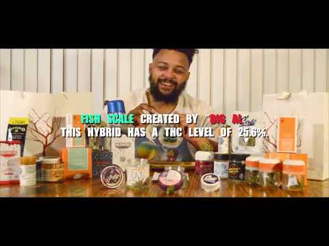 JAY'Z TREEHOUSE - EPISODE 1