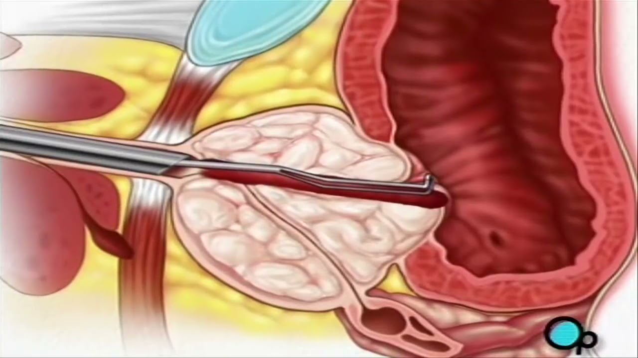 Mario Alberto Sánchez Sánchez-5