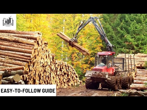 , title : 'How to Start a Logging Business | Step by Step'