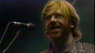 Phish 1999.12.31 ABC News &quot;Heavy Things&quot; live at Big Cypress