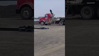Download lagu Bears.. Prudhoe bay, Alaska mp3