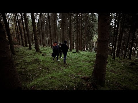 Orange Field x Stevo 159 - Fliegen (Official Video)