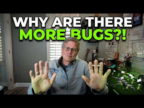 Did My Pest Control Make the Bugs WORSE?