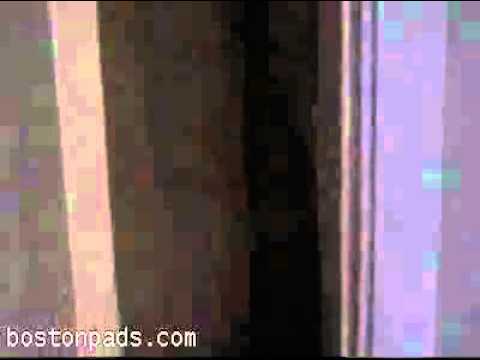 Boston Apartment - Braintree Apartment - Remarkable unit for rent in Braintree!