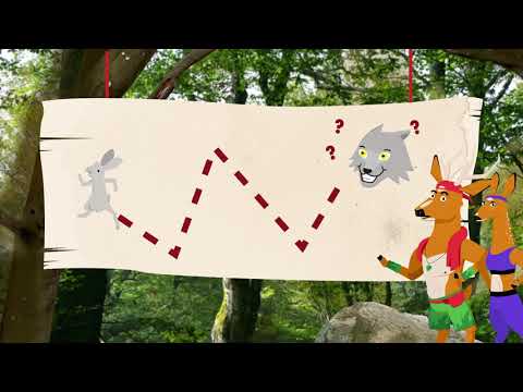 Shorrt Video Marketing - Week van het Bos - Rechtvaardige Ree Intro