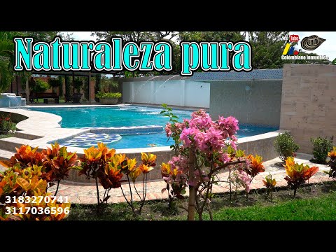 🏡🍇Invierte en tú futuro en este mágico pueblo Santa Elena El Cerrito, tranquilidad y seguridad.