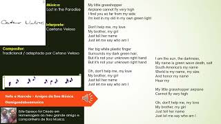 Caetano Veloso - Lost In The Paradise