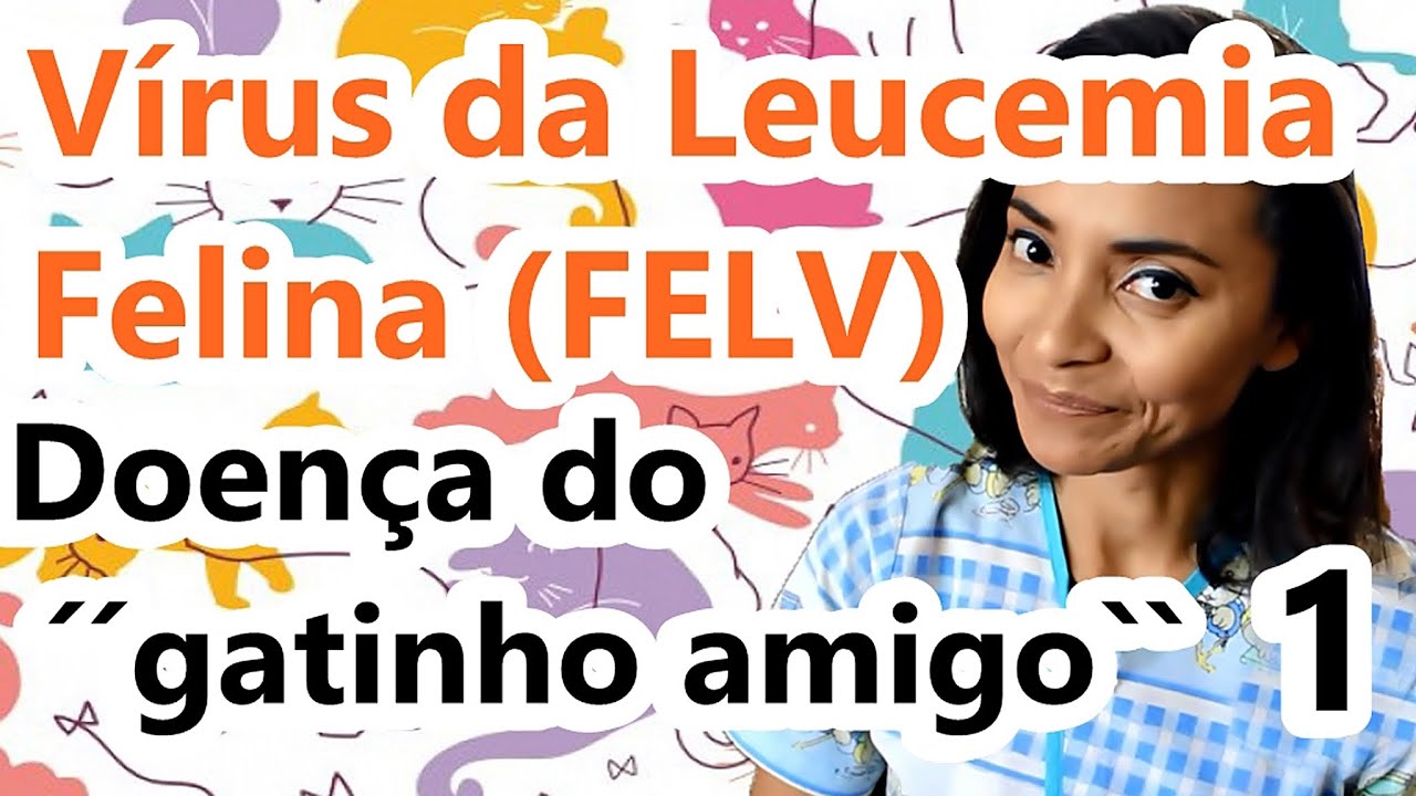 #FELV - VÍRUS DA LEUCEMIA FELINA. DOENÇA DO GATINHO AMIGO - PARTE 1