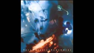 Soul Whirling Somewhere - Wish